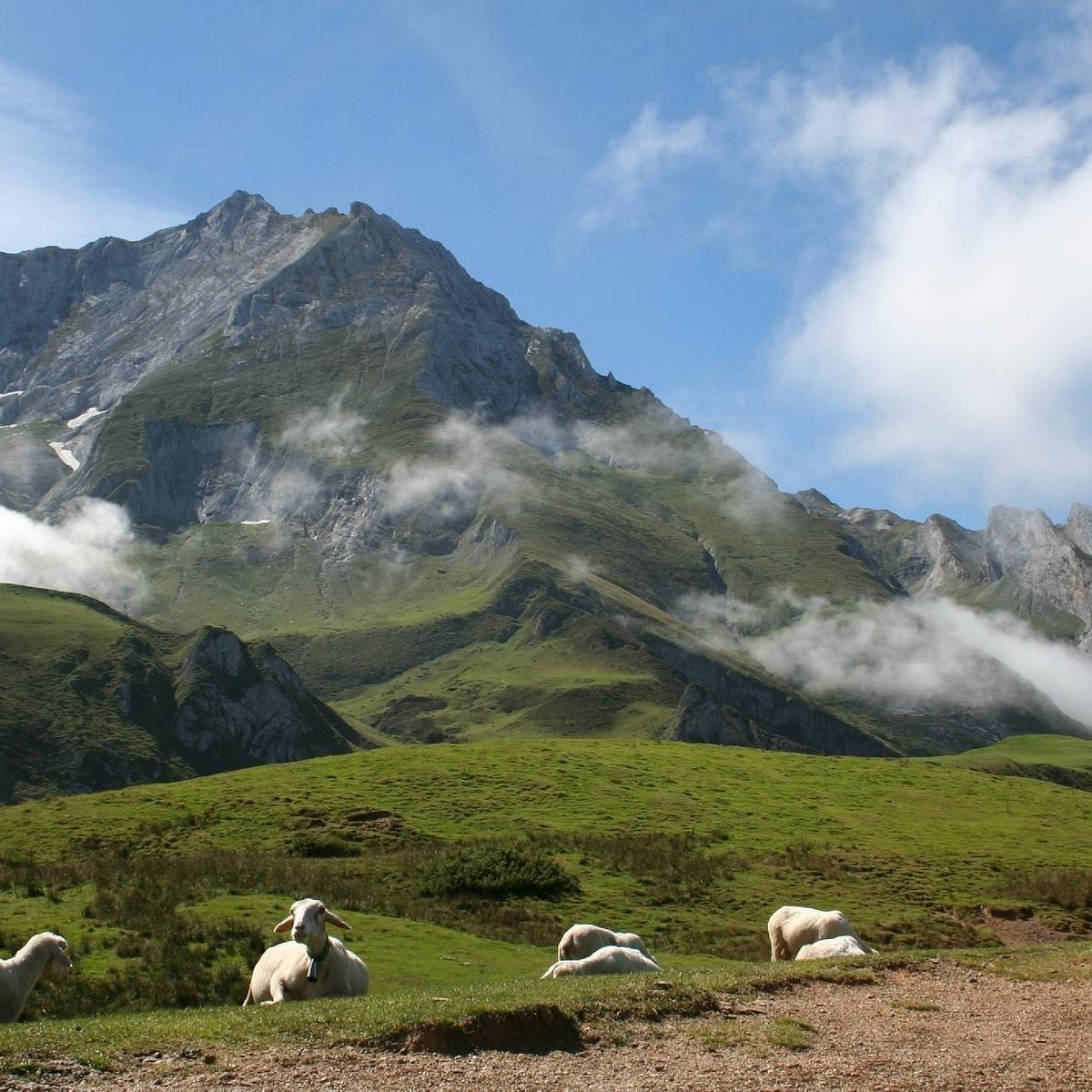 Photo de Didier CARRERE-LAAS