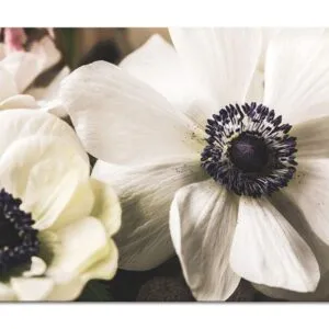 deux fleurs blanche