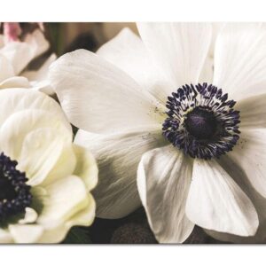 deux fleurs blanche