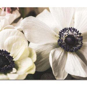 fleurs violet