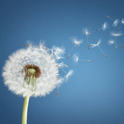 Photo de Marie Léa DESBATS