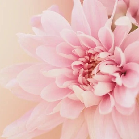 Photo de Marie-Josephe CAMARA