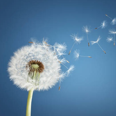 Photo d’Eliza LANNE