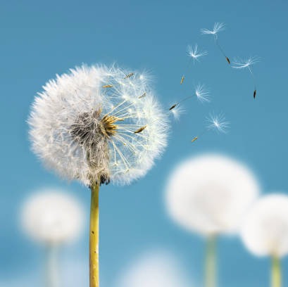 Photo de Nicole CABAUD