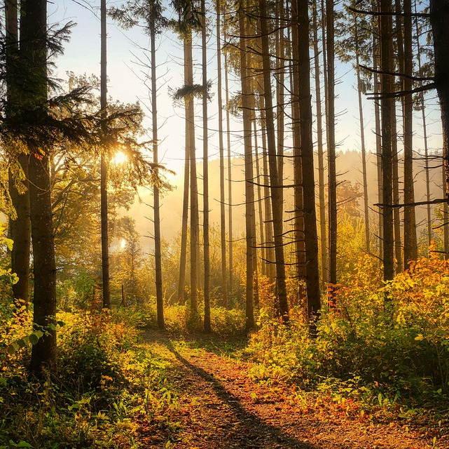 Photo de Guy BENESSE