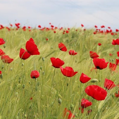 Photo de Josette ARNAUNÉ