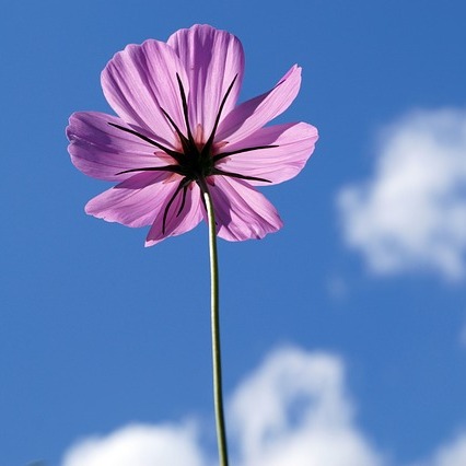 Photo de Raymonde MARTY-DEBAT