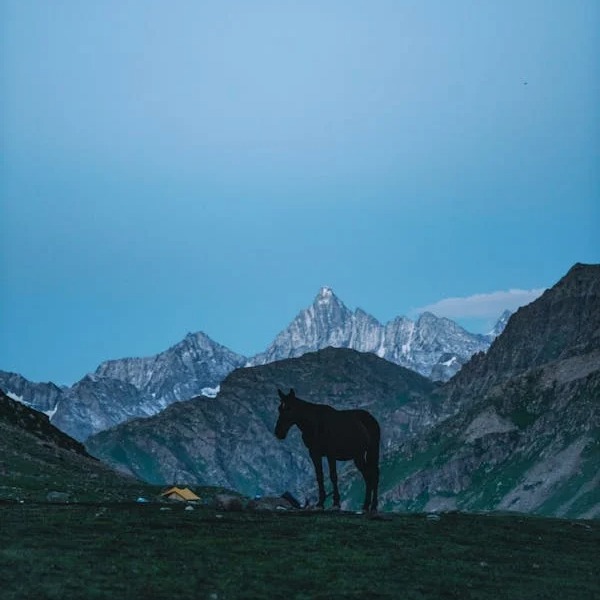 Photo de Jean-Marc MANET