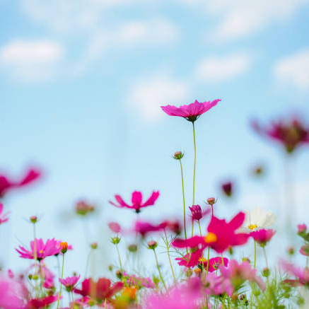 Photo d’Anna GARCIA