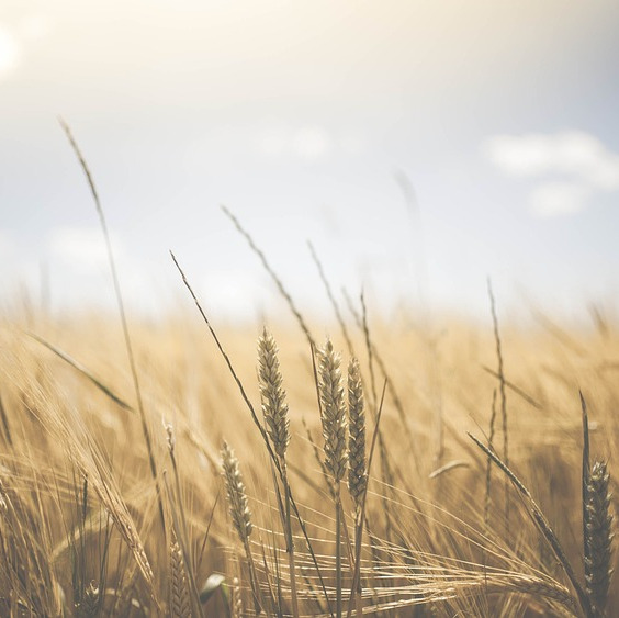 Photo de Bernard BOURDETTE-DESSUS