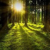 Photo de Francis Emile LABOURDETTE