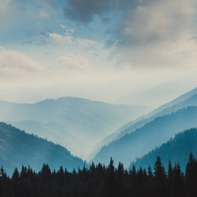 Photo de Gerardo CALACE