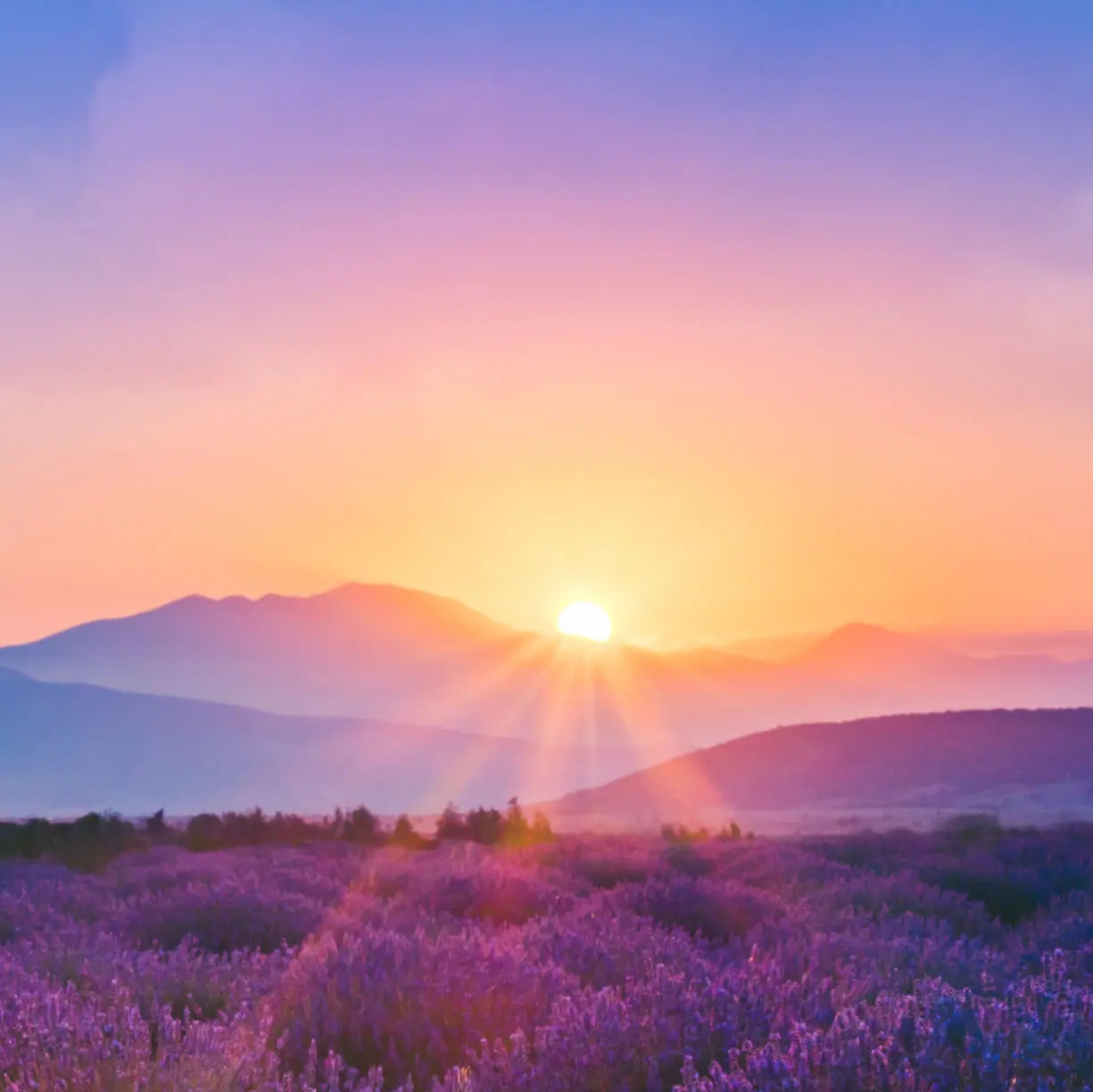 Photo de Nicole EMMANUELLI