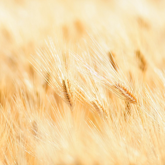 Photo de Bertrand SALLA