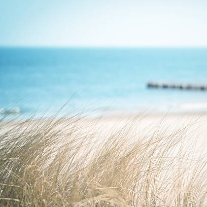 Photo de François Gabriel ESTORNES