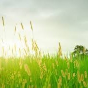Photo de Père Pierre LEBORGNE