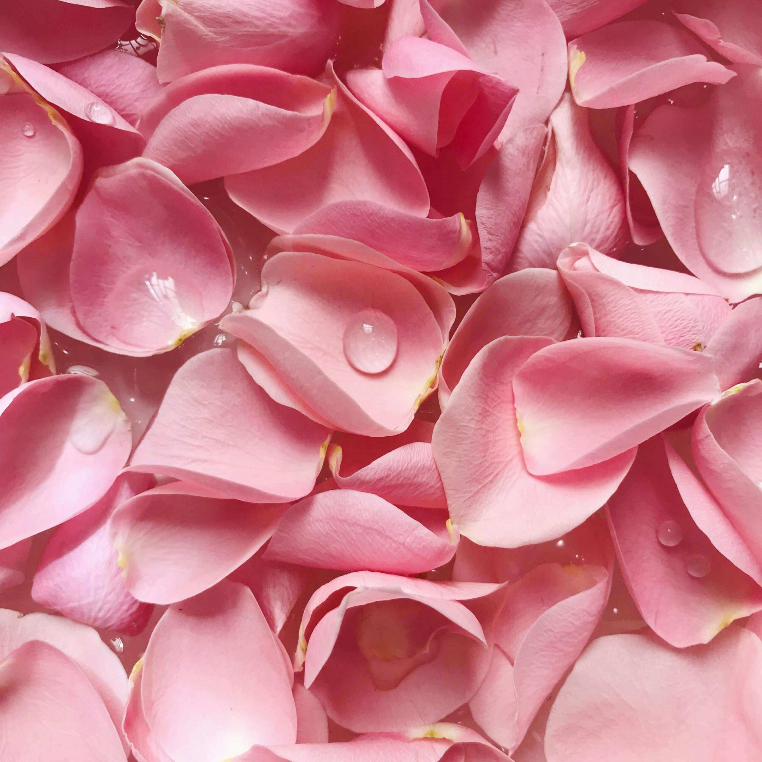 Photo de Sylvie CANTON