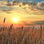 Photo de René LARROUY