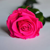 Photo de Laurence Bernadette CASALAS