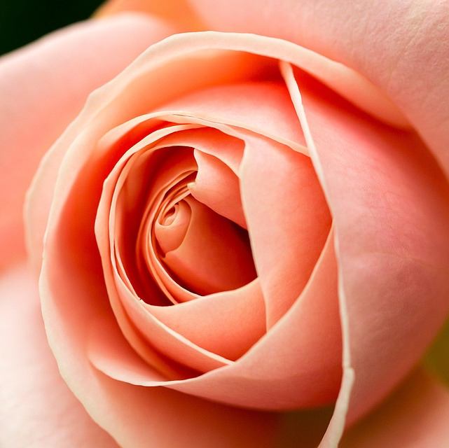 Photo de Lucette Augustine MARQUE