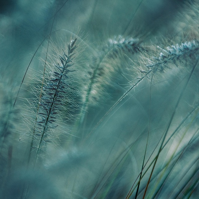 Photo de Jean-Claude DALMART