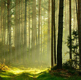 Photo de Jean VIGNAU