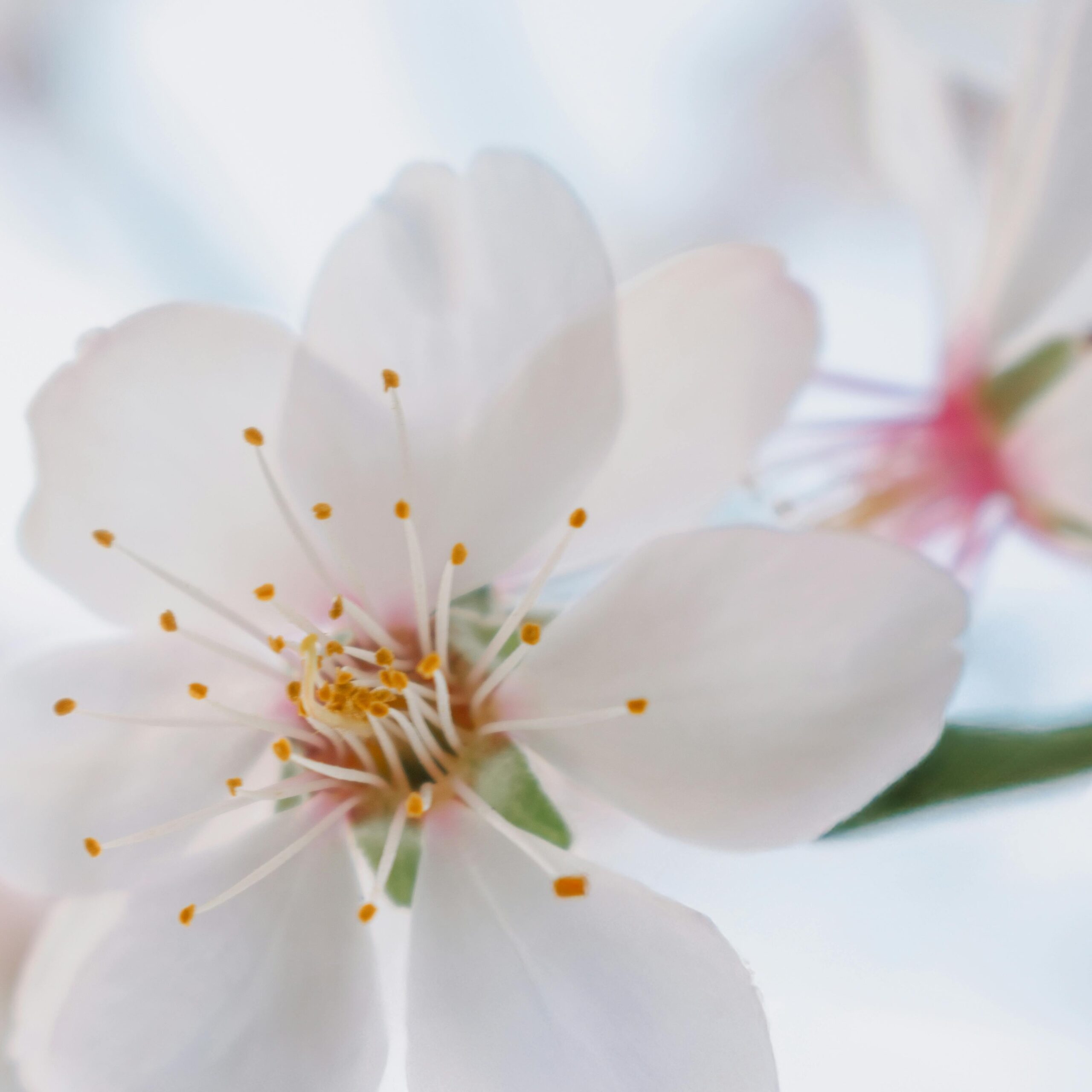 Photo de Marinette LACAY