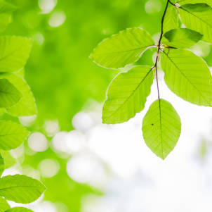 Photo de Jean-Philippe MÉNICHE