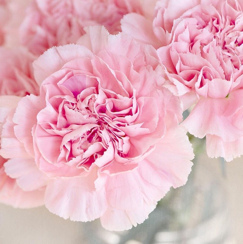 Photo d’Odette BLANCHOIN