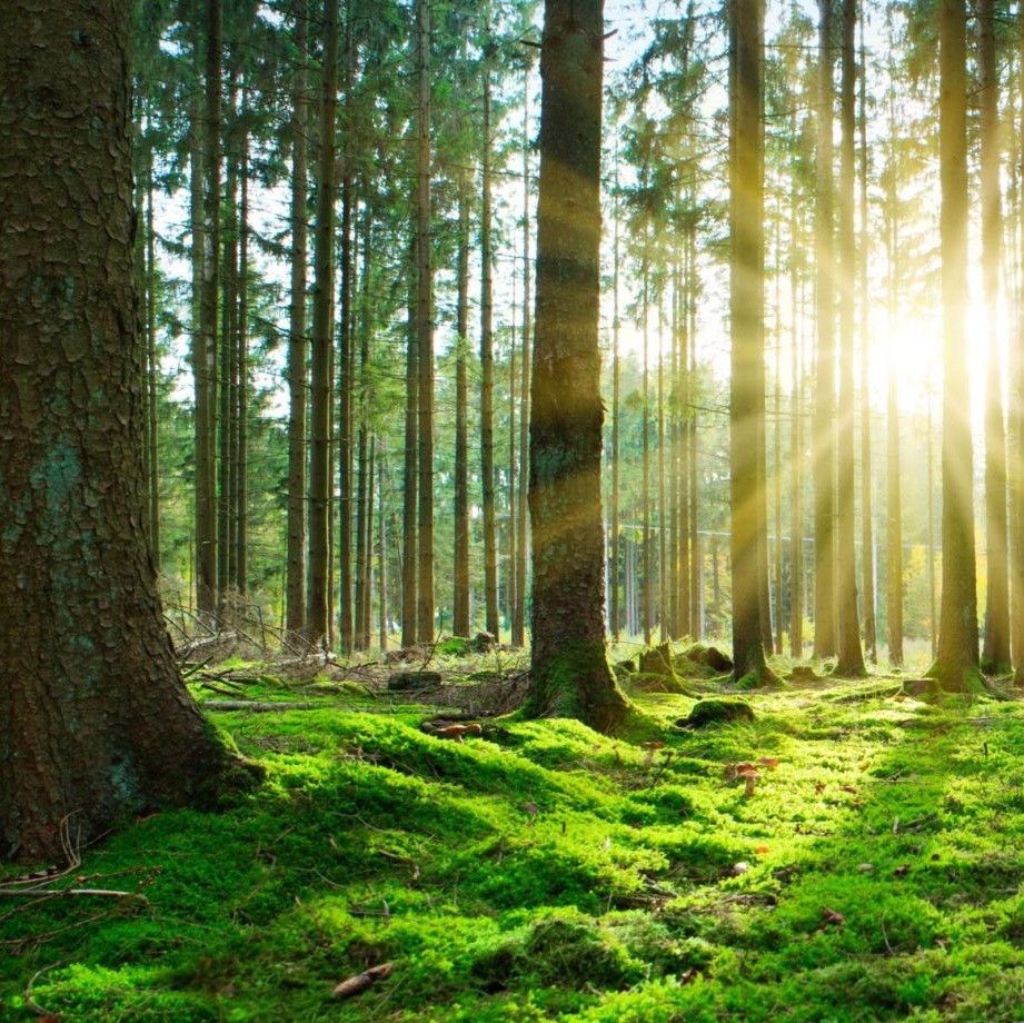 Photo de Paul BERDUCOU