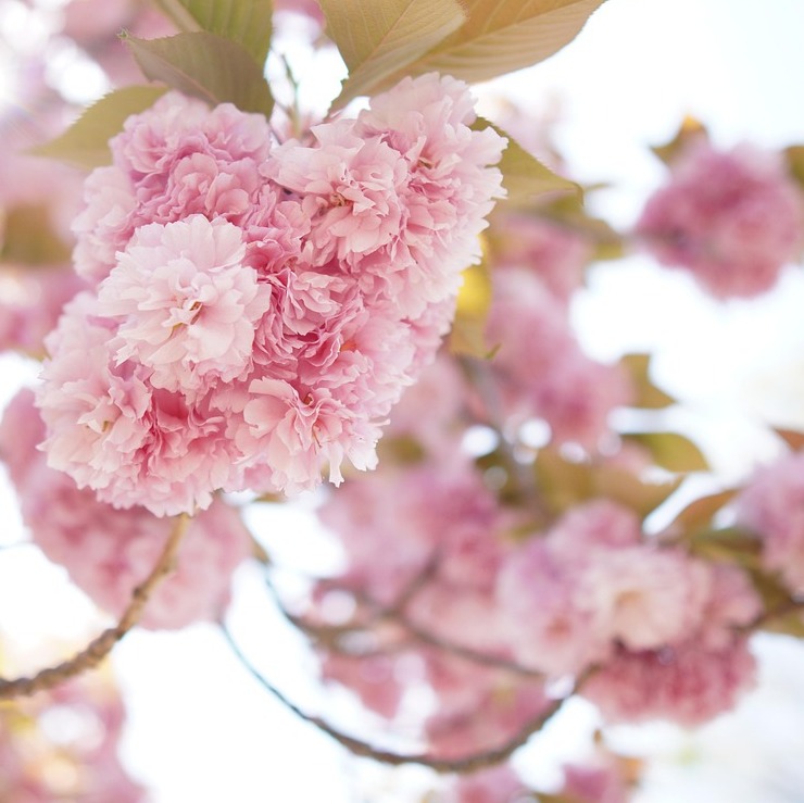 Photo d’Alice PRAT