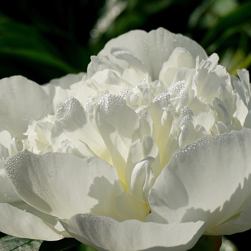 Photo de Marie BERDUCOU