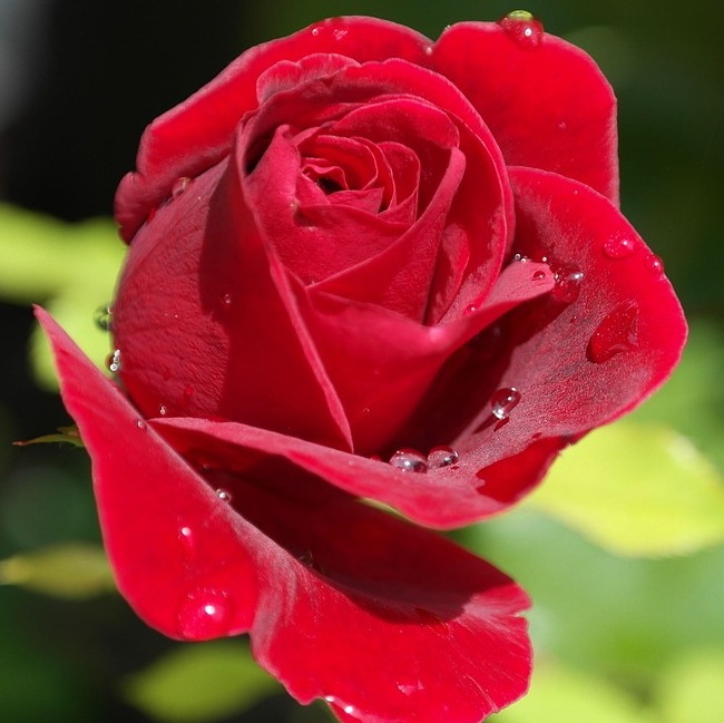 Photo de Marie Huguette DEDIEU-CASSOU