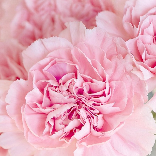 Photo de Madame Marie-Louise, Henriette BÈES