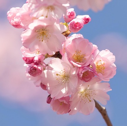 Photo de Raymonde ASSAT