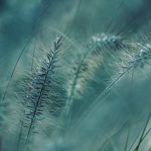 Photo de Marie BIGNALET