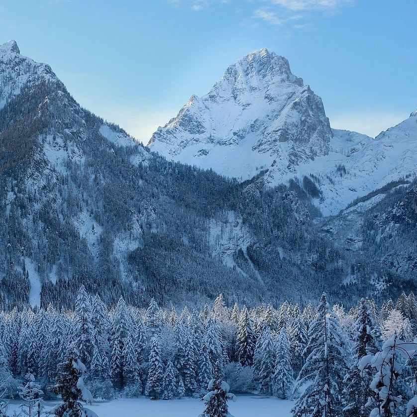 Photo d’Alain VERDU