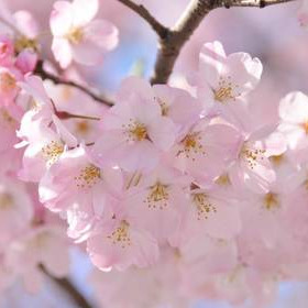 Photo de Marie BEAUDEAN