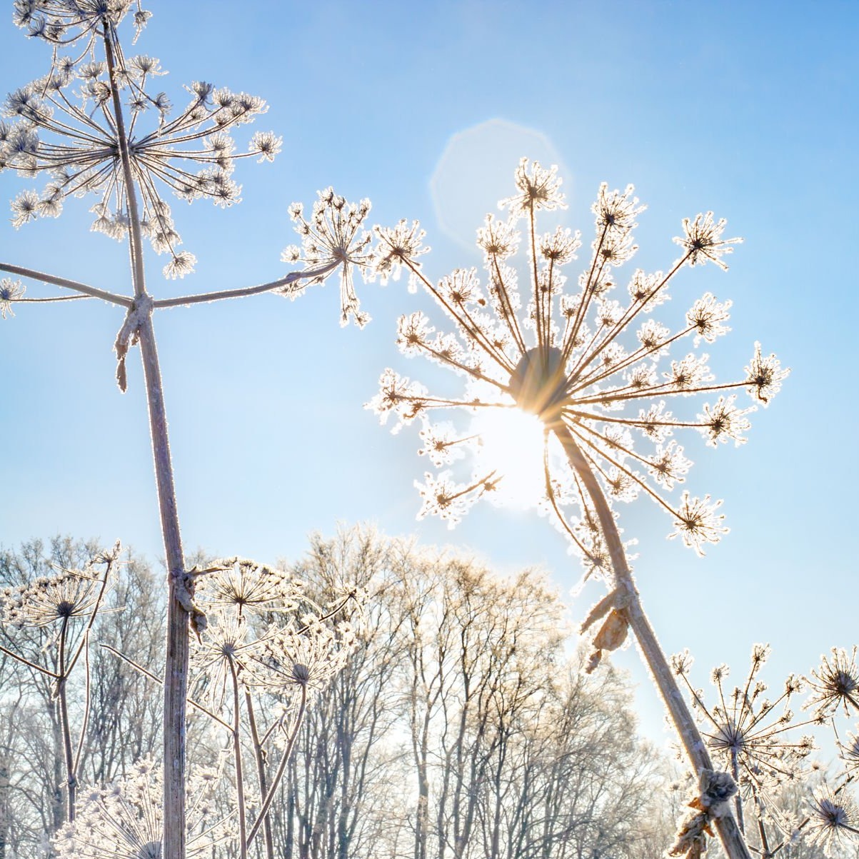 Photo de Janine GAYE