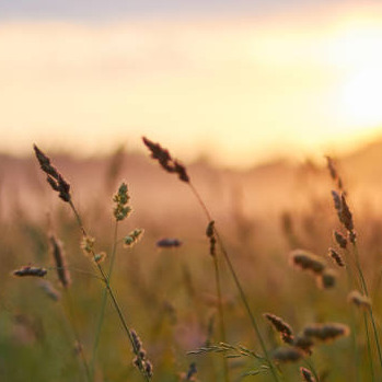 Photo de Pierre GAYE