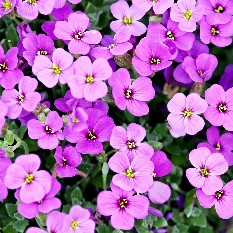 Photo de Marie-Madeleine BERRETTE