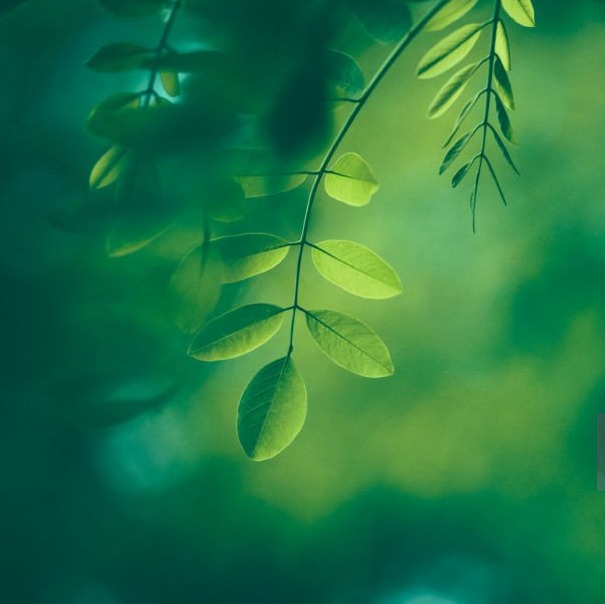 Photo de Jacques ARIS