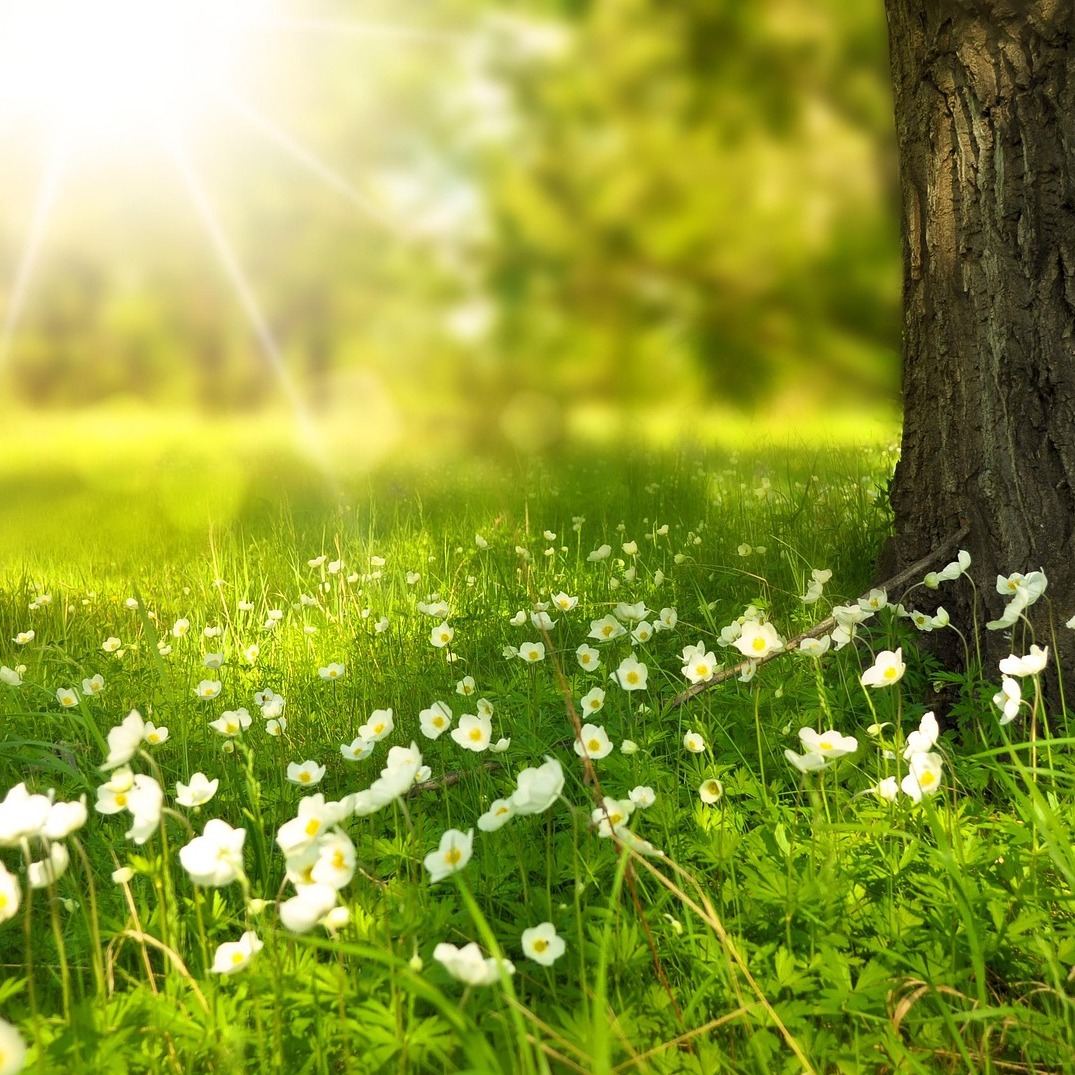 Photo de Madeleine GACHET