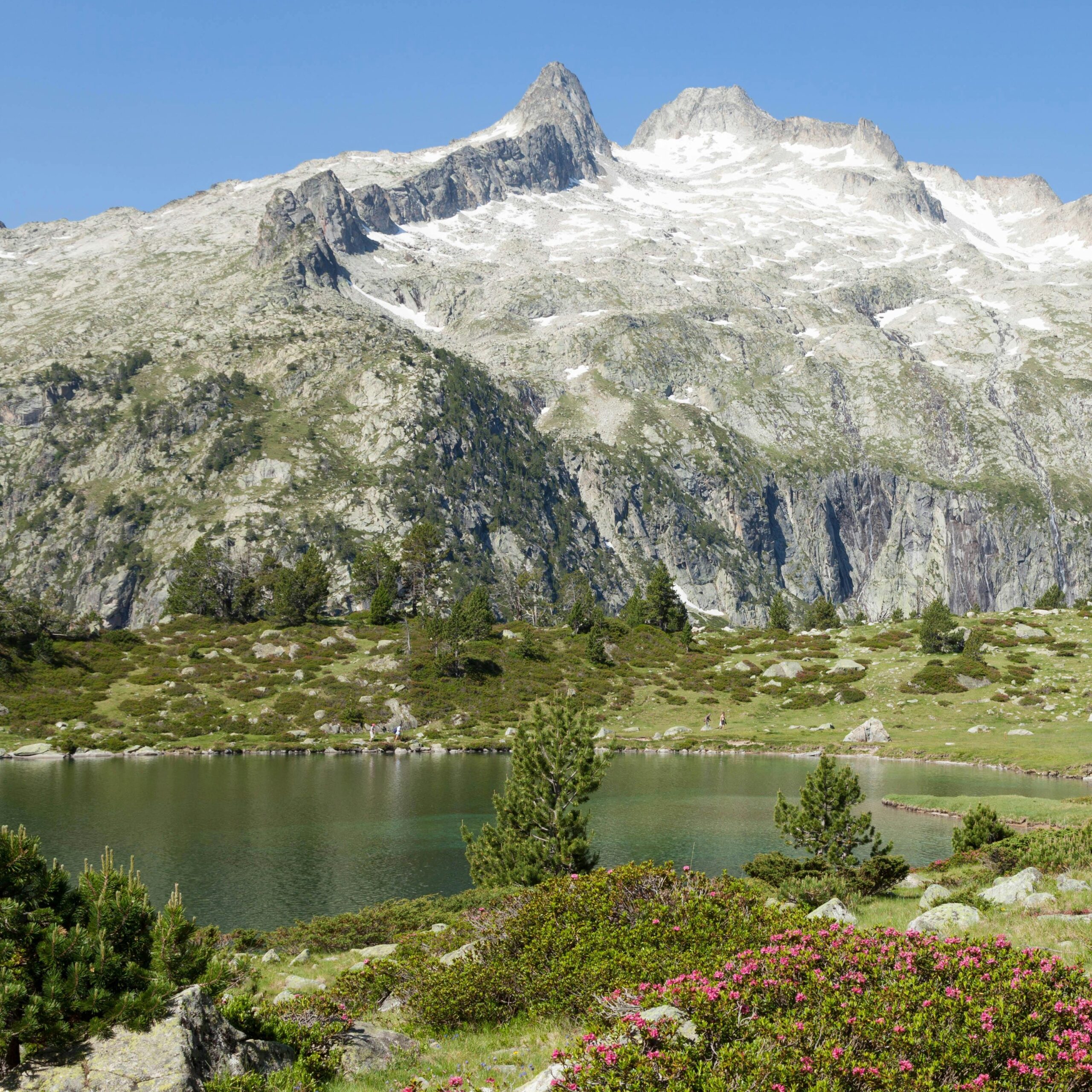 Photo de Jules COUPAU