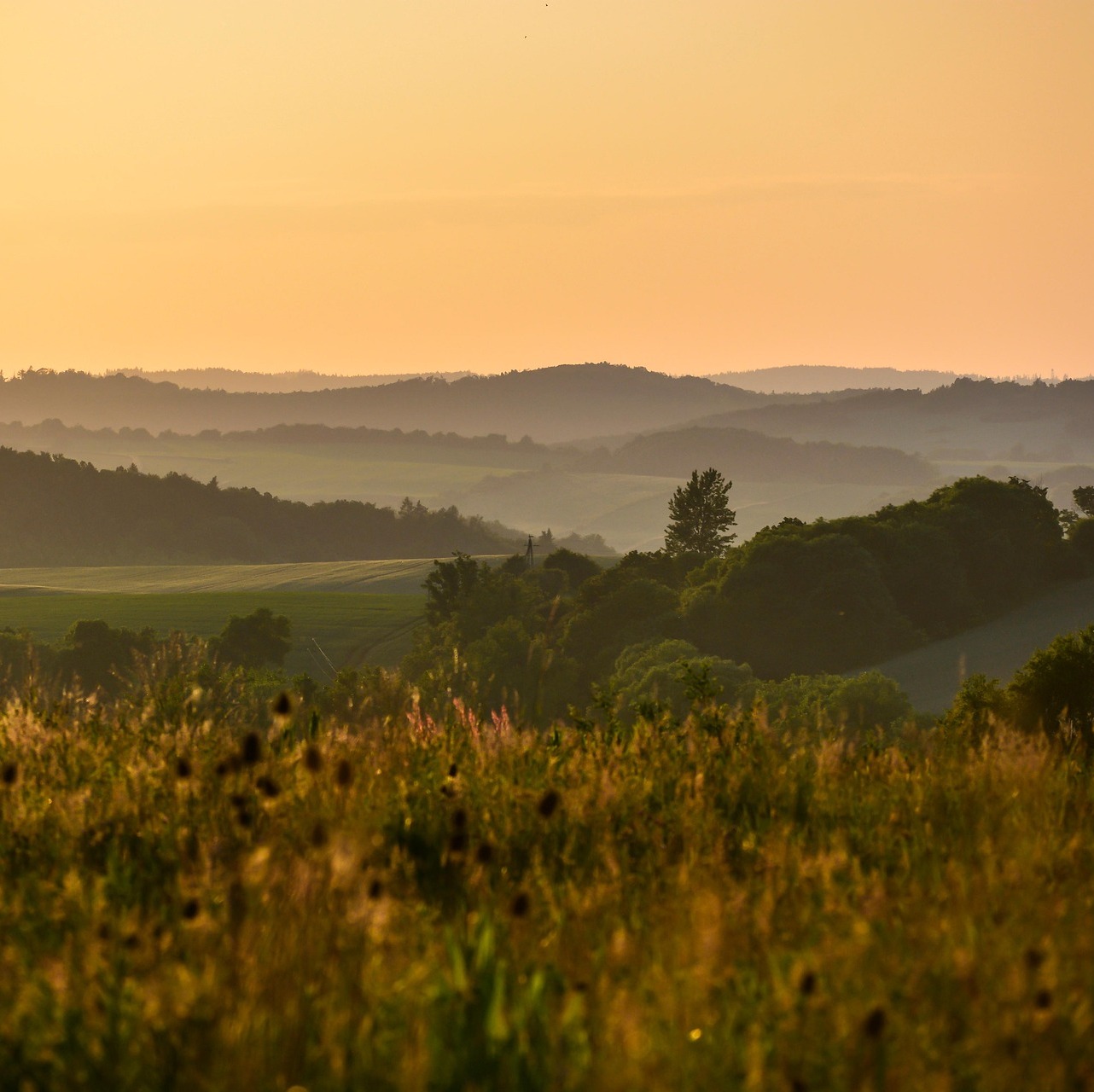 Photo de Pierre GUILHAMASSÉ