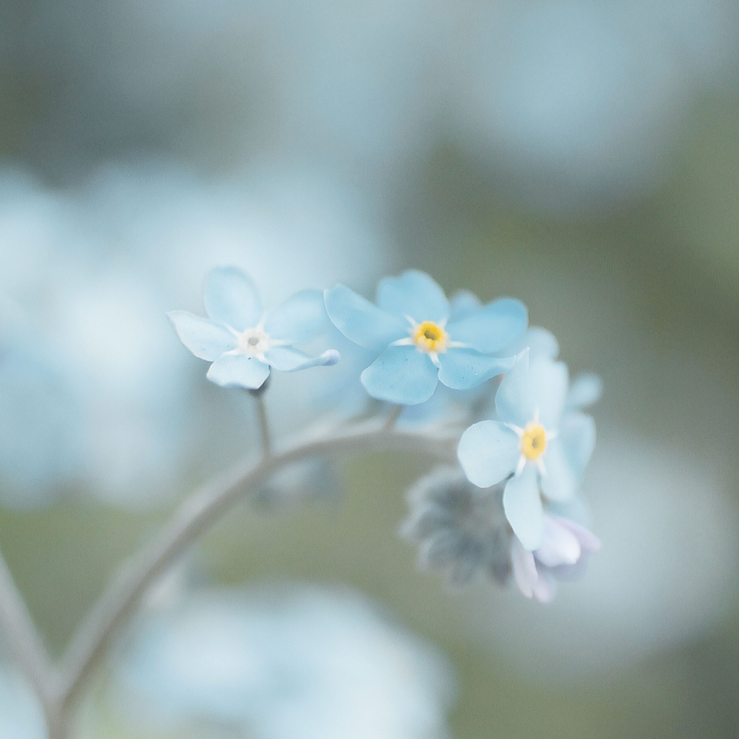 Photo de Nadine MAGENDIE