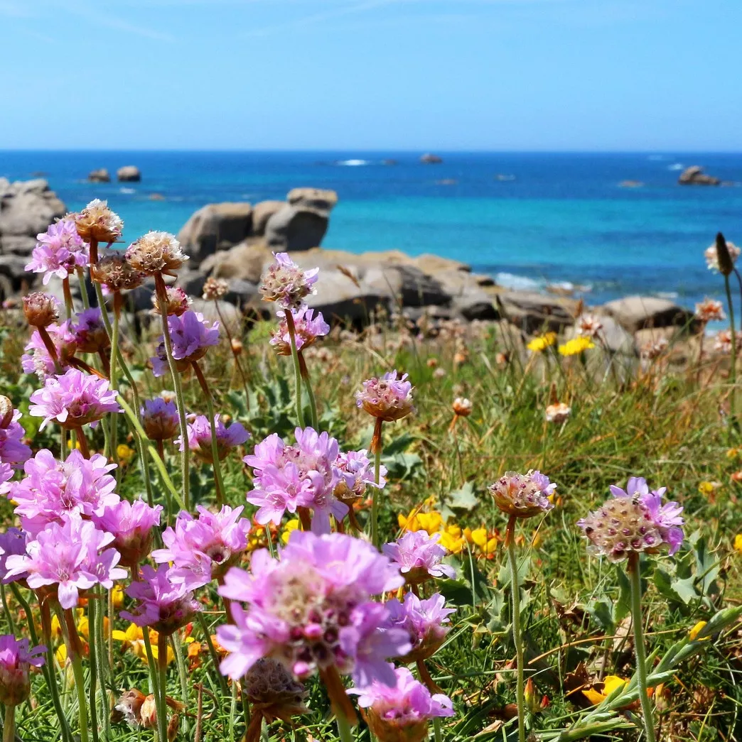 Photo de Geneviève BOSSARD