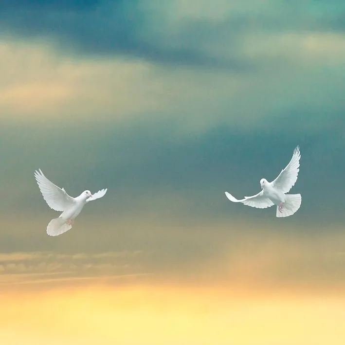 Photo de Jeanne CLAVERIE