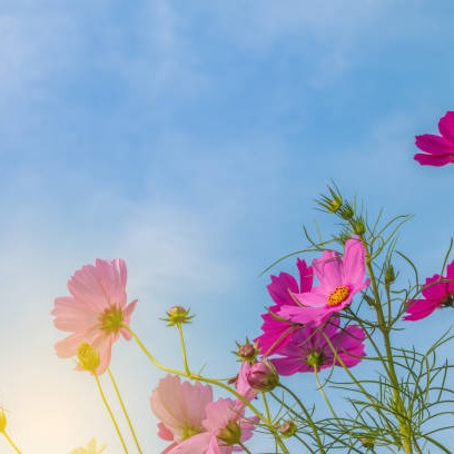 Photo d’Hélène LARROUY