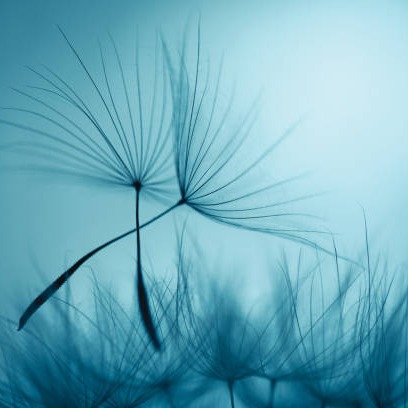 Photo de Raymonde LERA